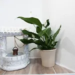Apartment Casa Rita App 4 A