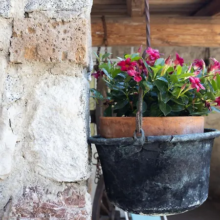 Διαμέρισμα Casa Rita App 4 A
